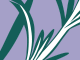 Marquard logo