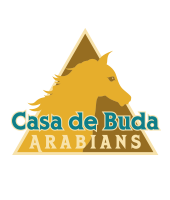 Casa de Buda logo