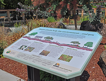 native plants interpretive sign