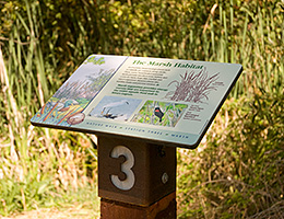 Nature Walk Station 3